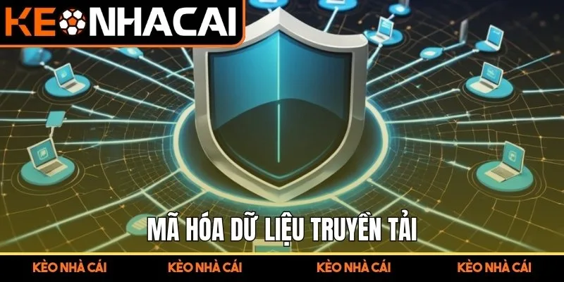 Mã hóa dữ liệu truyền tải